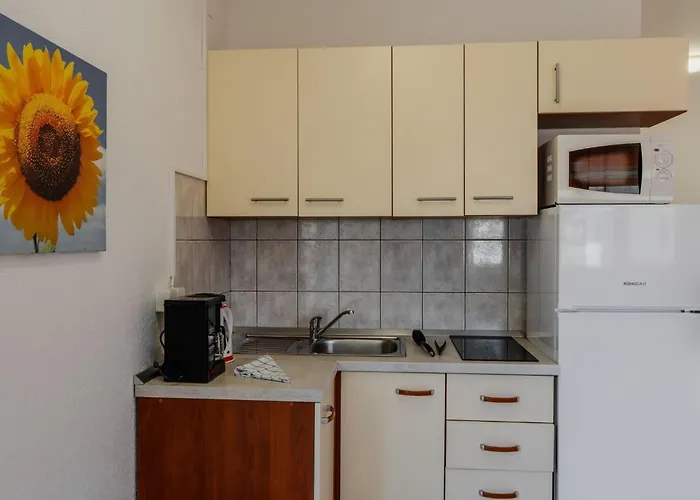 아파트 Tt 1 By Interhome 비르