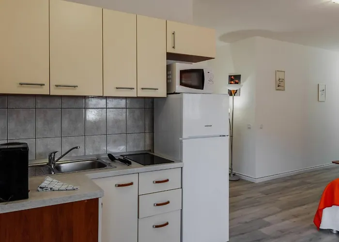 Tt 1 By Interhome * Vir